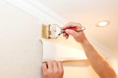 Pose de papier peint à Meyrueis — revêtements muraux et toiles de verre